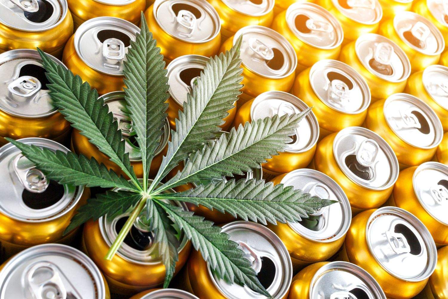 Caloosahatchee Beverage Company - FAQ