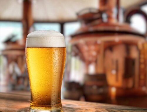 What Exactly is Florida Hemp-Inspired Beer? Everything You Need to Know